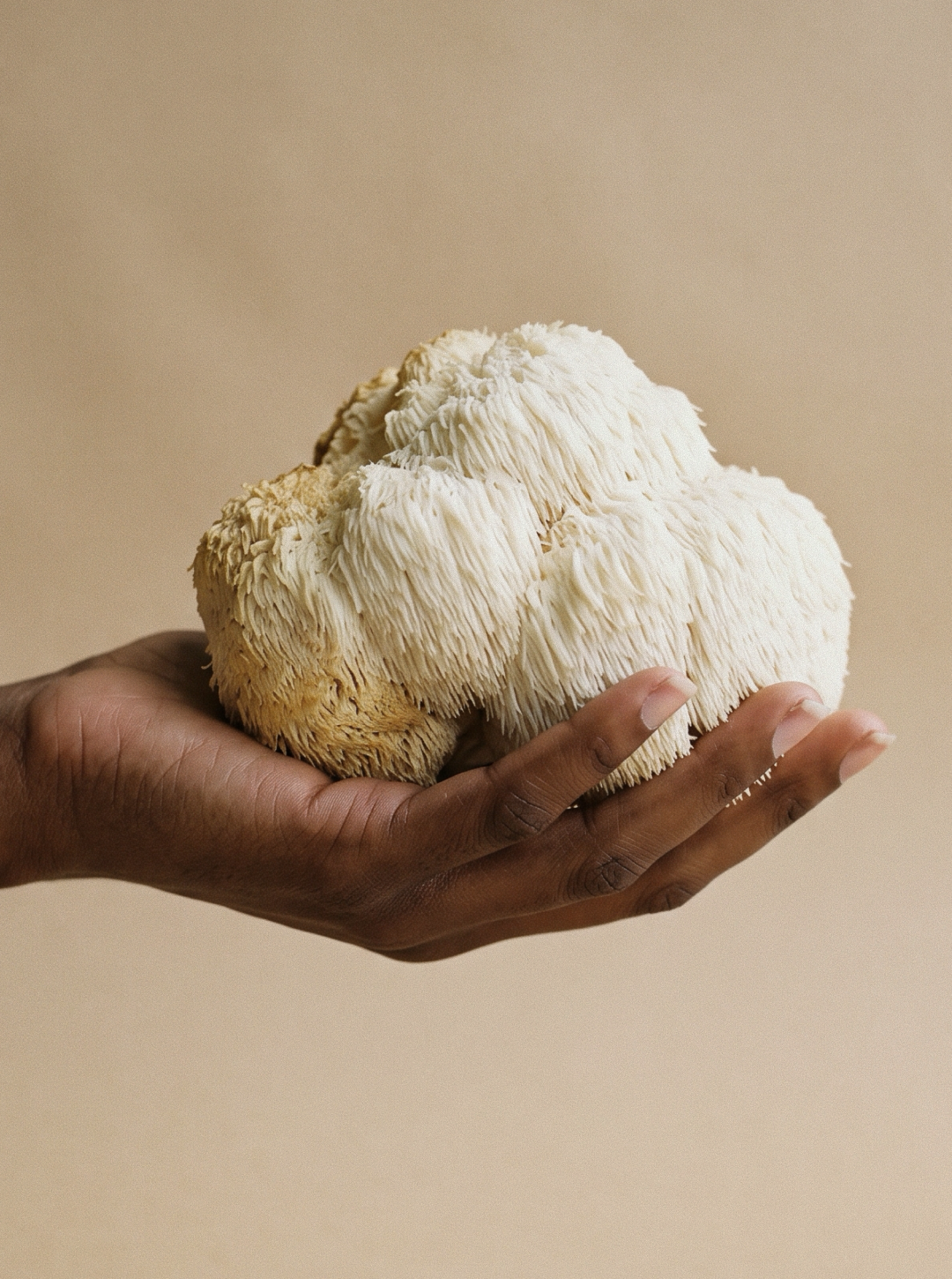 Lion's mane mushroom explained: what it is, how people take it and what to check first